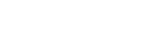 Blueray International logo