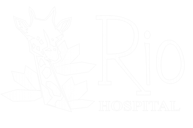 Rio logo