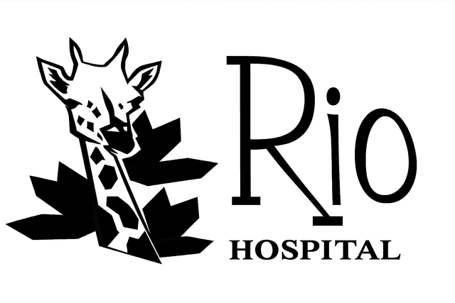 Rio logo